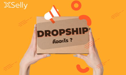 ดรอปชิป  Dropship คืออะไร